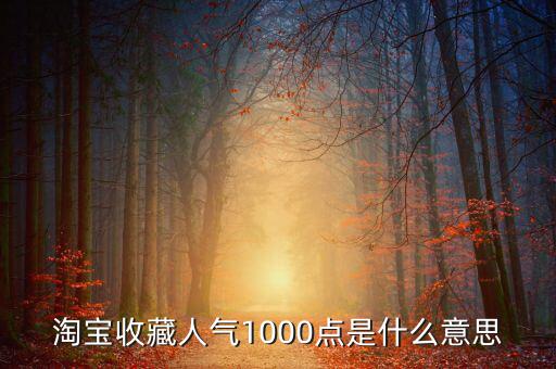 1000點2000點什么意思，加拿大簽證中1000 2000什么意思