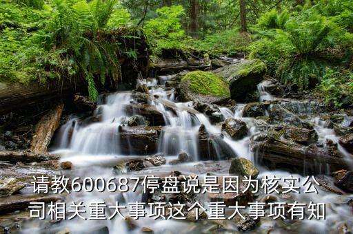 請教600687停盤說是因為核實公司相關(guān)重大事項這個重大事項有知