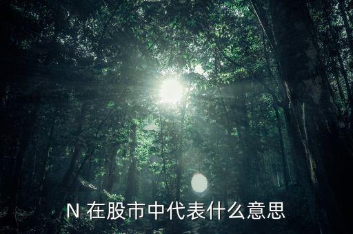 N 在股市中代表什么意思