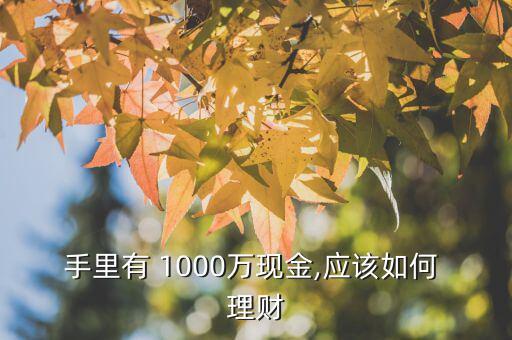 中獎1000萬怎么理財,1000萬資金可投資股市