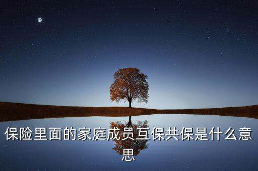 什么是共同被保險(xiǎn)人，保險(xiǎn)里面的家庭成員互保共保是什么意思