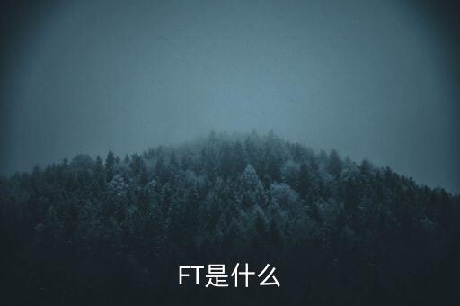 什么是FT調(diào)查，F(xiàn)T是什么