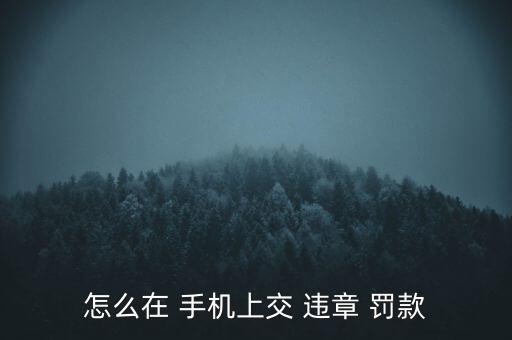 怎么在 手機上交 違章 罰款