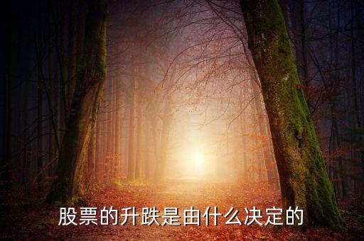 股票根據(jù)什么跌升，股票的升跌是由什么決定的