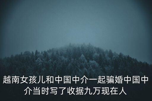 越南女孩兒和中國中介一起騙婚中國中介當(dāng)時(shí)寫了收據(jù)九萬現(xiàn)在人