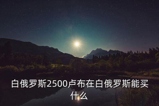 白俄羅斯盧布50可以買什么，白俄羅斯2500盧布在白俄羅斯能買什么