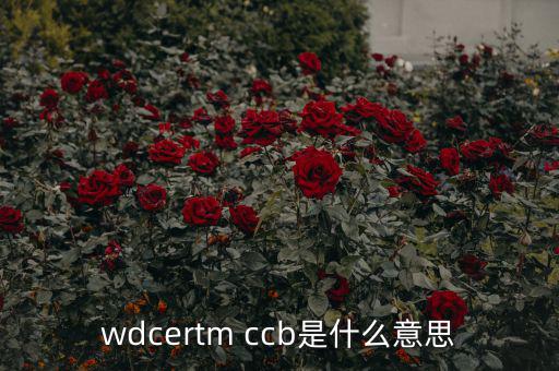 wdcertm ccb是什么意思