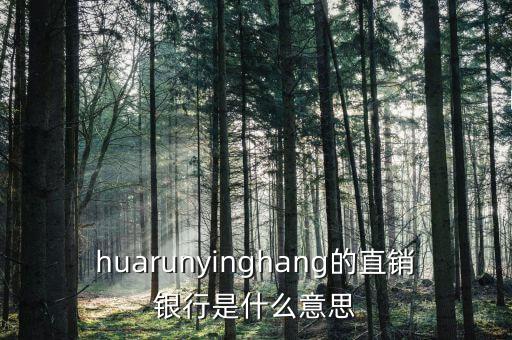 huarunyinghang的直銷銀行是什么意思