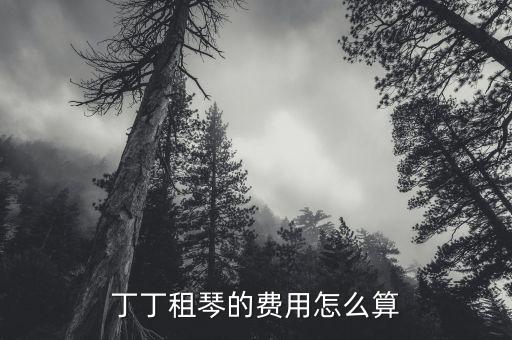 丁丁租琴的費用怎么算