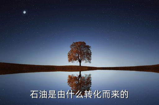 石油是由什么轉(zhuǎn)化而來(lái)的