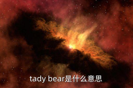 tady bear是什么意思