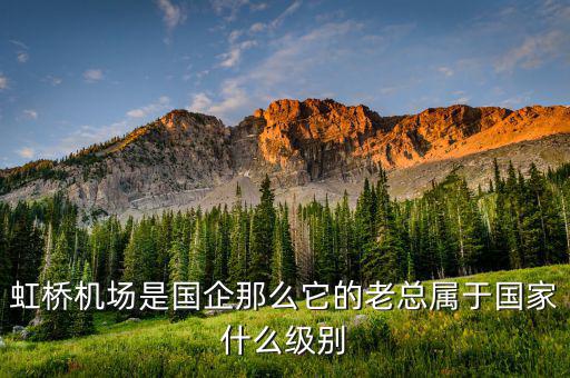 機場董事長什么級別，虹橋機場是國企那么它的老總屬于國家什么級別