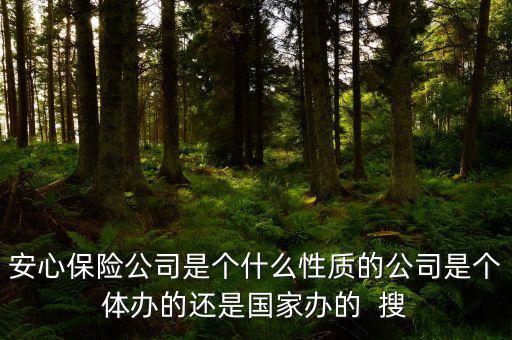 什么叫安心險，水滴籌的安心保險有保障嗎是怎么樣投保的投保后是多少錢呢