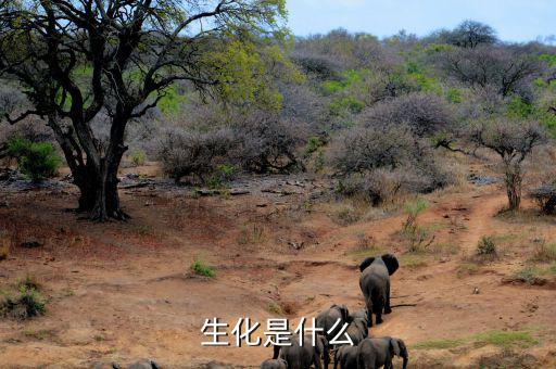 長安生化是什么呢，生化是指什么呀