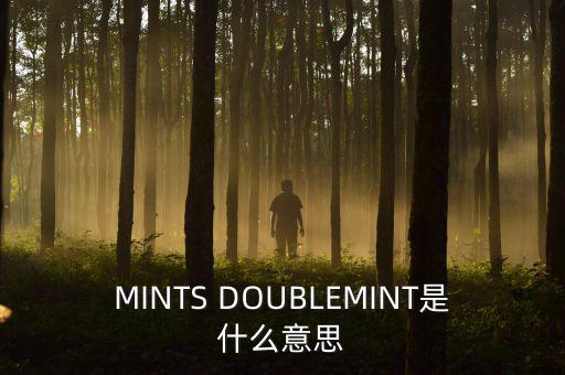 MINTS DOUBLEMINT是什么意思