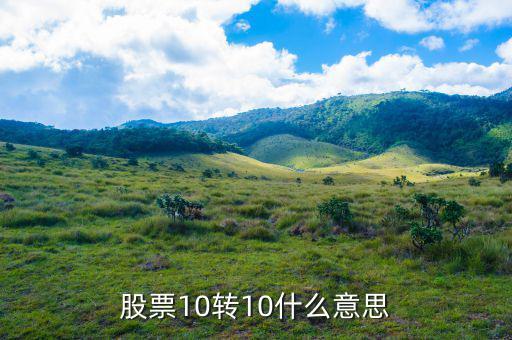 股票10送10轉(zhuǎn)10是什么意思，股市什么是10送10