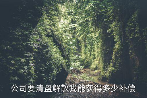 公司要清盤(pán)解散我能獲得多少補(bǔ)償