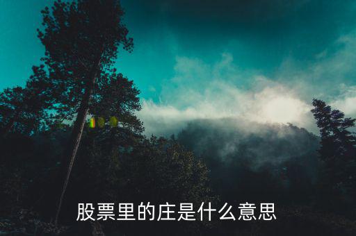 什么是莊家，填動詞什么莊家