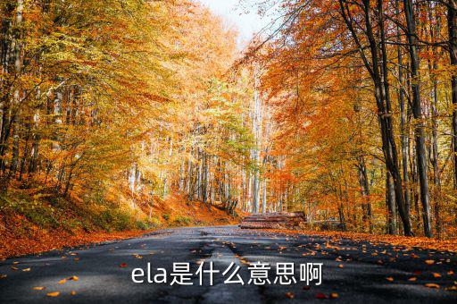 ela是什么意思啊