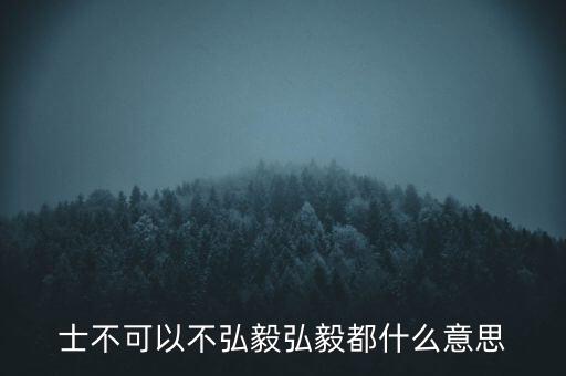 市布可以不弘毅什么意思，曾子曰士不可以不弘毅 什么意思