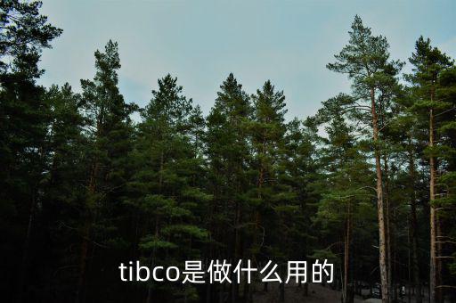 tibco是做什么用的