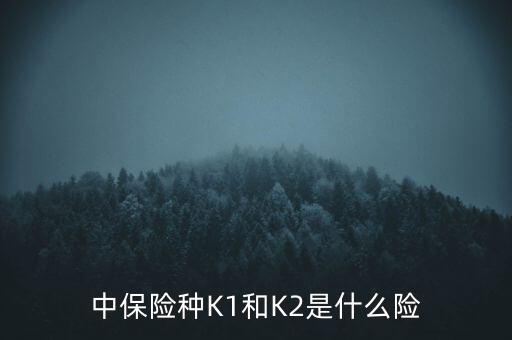 中保險(xiǎn)種K1和K2是什么險(xiǎn)