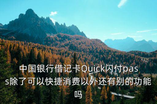 中國銀行借記卡Quick閃付pass除了可以快捷消費(fèi)以外還有別的功能嗎