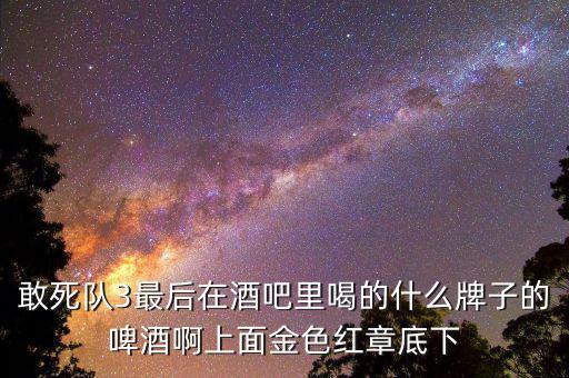 敢死隊(duì)3喝的什么啤酒，敢死隊(duì)3酒吧里吃的這是什么