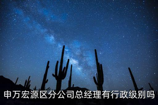 申萬宏源區(qū)分公司總經(jīng)理有行政級(jí)別嗎