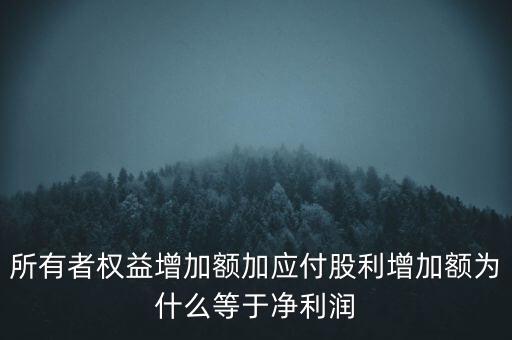 所有者權(quán)益增加額加應(yīng)付股利增加額為什么等于凈利潤