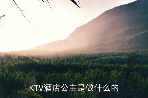 酒店出臺是干什么的，KTV酒店公主是做什么的