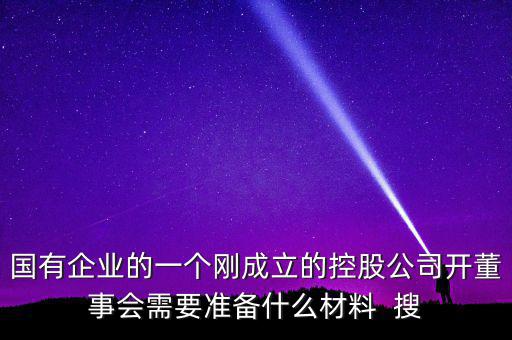 國有企業(yè)的一個剛成立的控股公司開董事會需要準備什么材料  搜