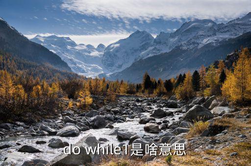 do while1是啥意思