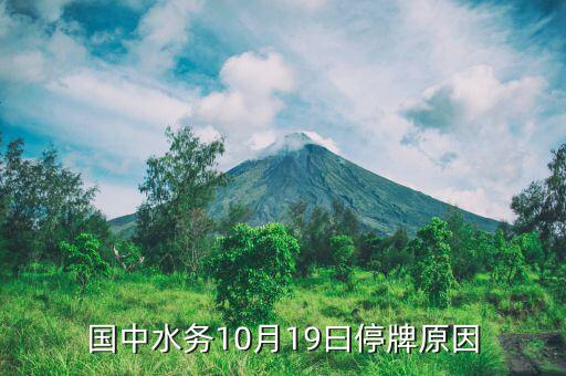 2015年10月江蘇索普為什么停牌，國中水務(wù)10月19曰停牌原因