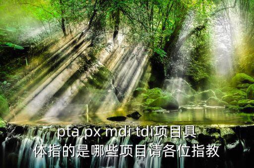 pta項目是什么，pta px mdi tdi項目具體指的是哪些項目請各位指教