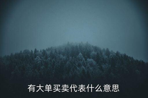 在買5成交有大單是什么意思，股票中大單是什么意思