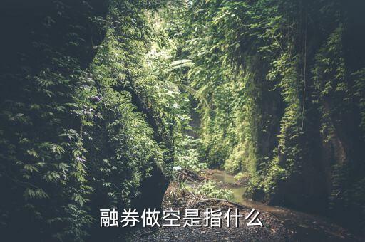 融券拋空是什么意思，融券做空是指什么