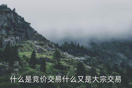 什么是競(jìng)價(jià)交易什么又是大宗交易