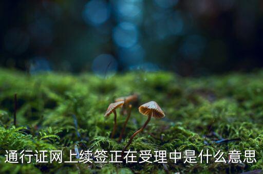 通行證網(wǎng)上續(xù)簽正在受理中是什么意思