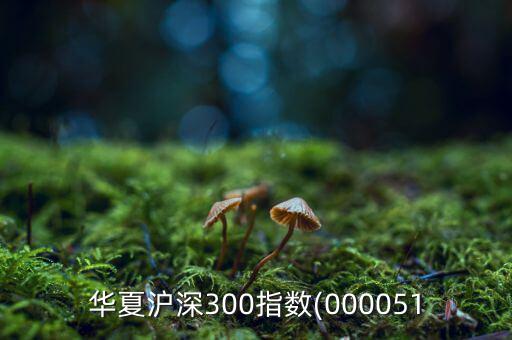 華夏滬深300指數(shù)(000051