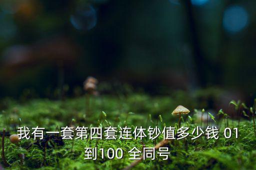 我有一套第四套連體鈔值多少錢 01到100 全同號