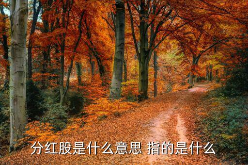 分紅盤是什么，分紅股是什么意思 指的是什么