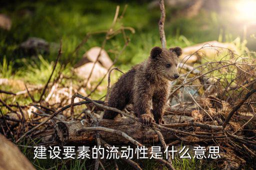 什么是要素流動，建設(shè)要素的流動性是什么意思