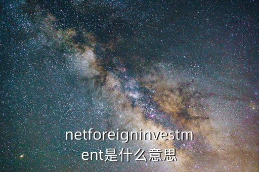 netforeigninvestment是什么意思