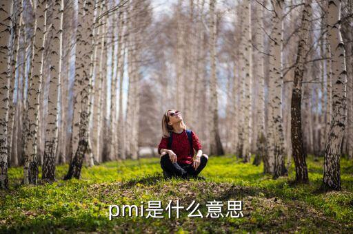 ism非制造業(yè)pmi是什么，pmi是什么意思