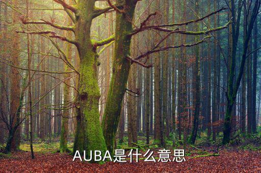 華夏現(xiàn)金增利貨幣a是什么，AUBA是什么意思