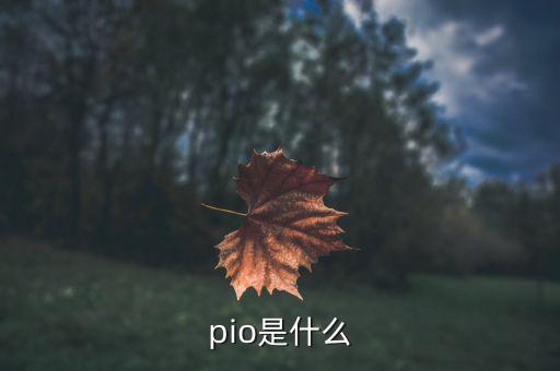 pio是什么