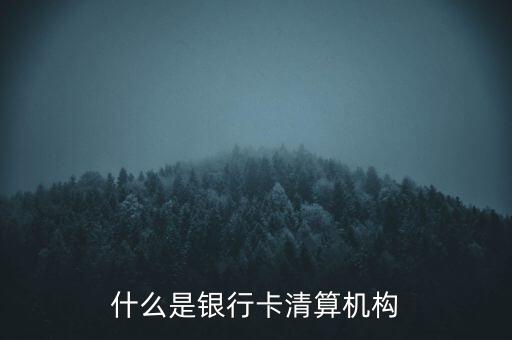 同一卡組織清算機構指什么，銀行卡清算機構銀行支付機構到底有什么區(qū)