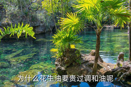 為什么花生油要貴過調和油呢