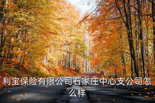 利寶保險(xiǎn)有限公司石家莊中心支公司怎么樣